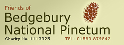 Bedgebury National Pinetum